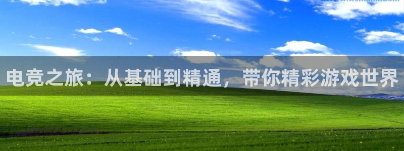e8125雷火电竞官网：电竞之旅：从基础到精通，带你精彩游戏世界