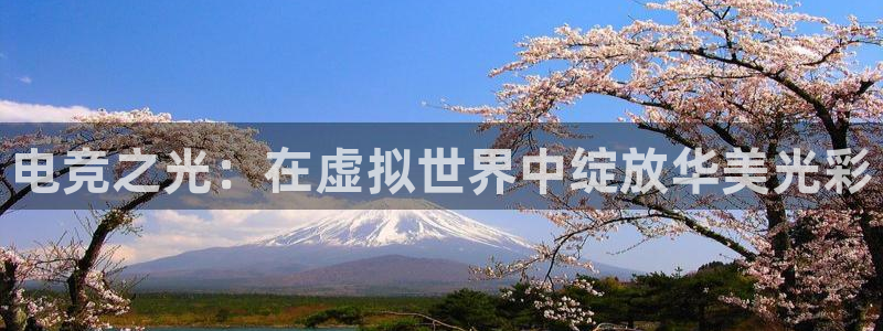 雷火电竞平台app下载：电竞之光：在虚拟世界中绽放华美光彩