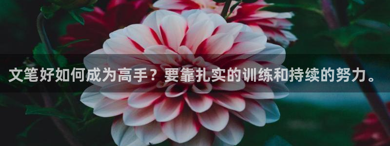 雷火电竞官网登录：文笔好如何成为高手？要靠扎实的训练和持续的努力。