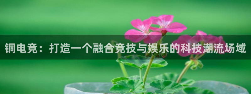雷火电竞贴吧：铜电竞：打造一个融合竞技与娱乐的科技潮流场域