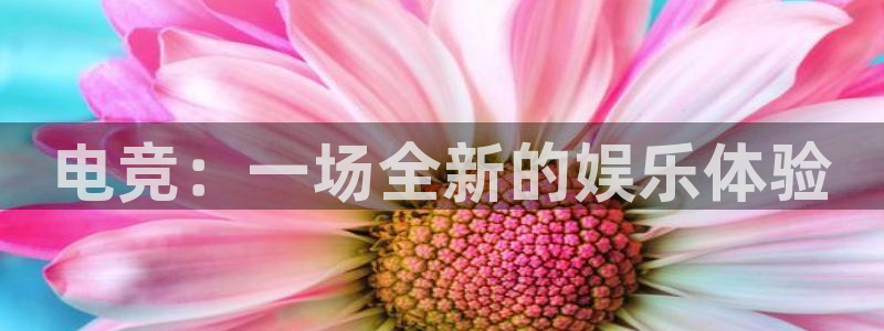 雷火电竞网页版登录入口：电竞：一场全新的娱乐体验