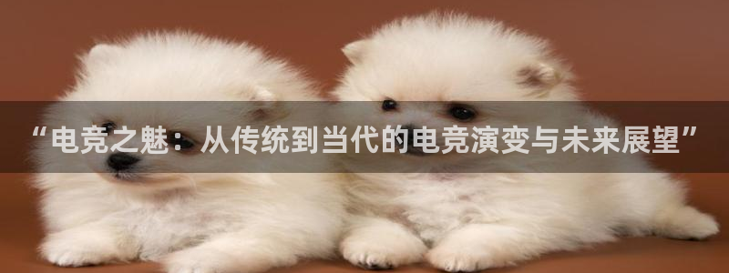 下载雷火电竞app：“电竞之魅：从传统到当代的电竞演变与未来展望”