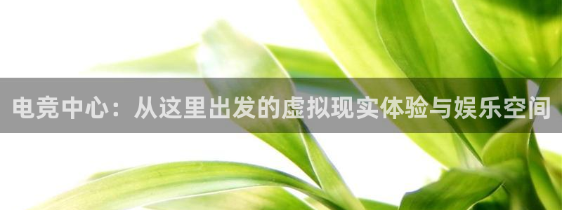 雷火电竞入口官网：电竞中心：从这里出发的虚拟现实体验与娱乐空间